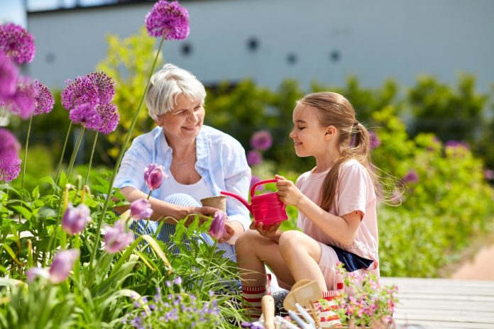 grandmother and girl planting flowers at garden