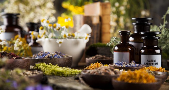 Alternative medicine, dried herbs and mortar on wooden desk background