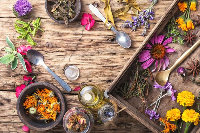 motley healthy herbs