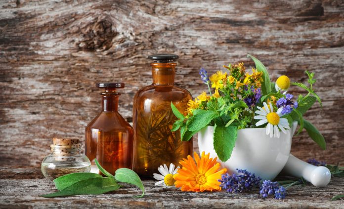 Herbal medicine. Medicinal plants