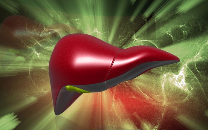 Liver