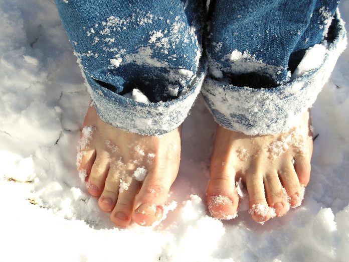 feet
