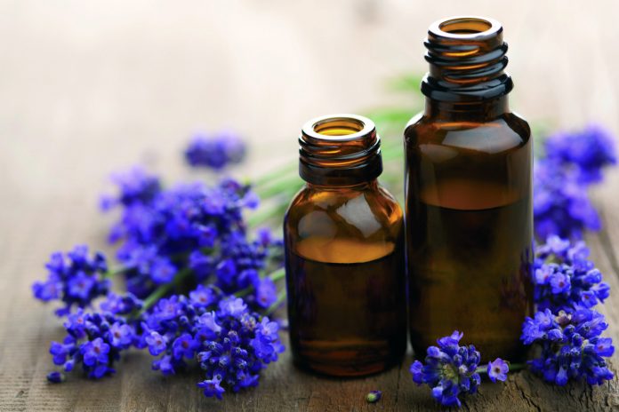 essential oil and lavender flowers