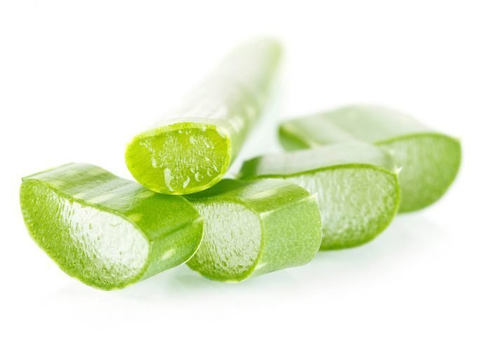 Fresh aloe vera. Isolated.