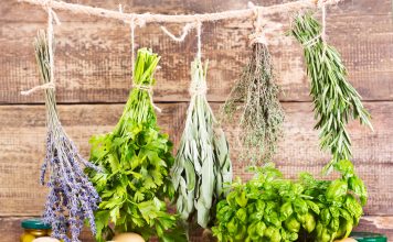 various fresh and dried herbs