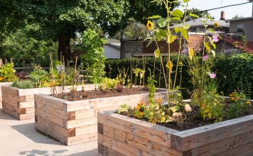 Community Garden