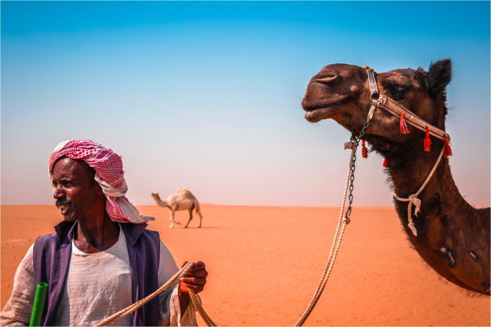 arabian-1718259