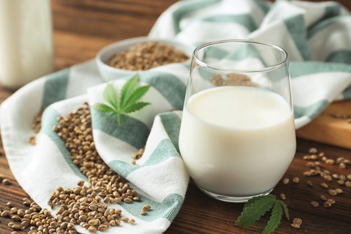 Glass with hemp milk on wooden background