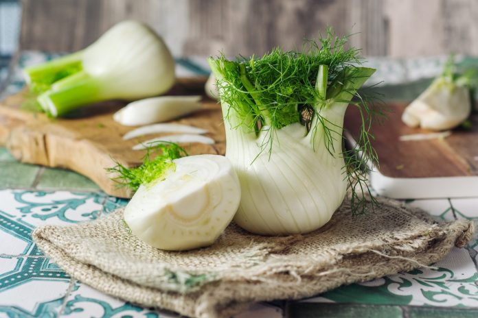 Fresh raw fennel
