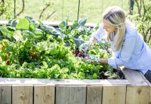 Domači vrt – naravna aromaterapija brez stekleničke