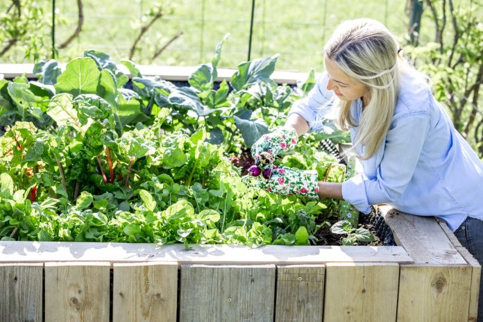 Happy woman is proud of her own raised bed