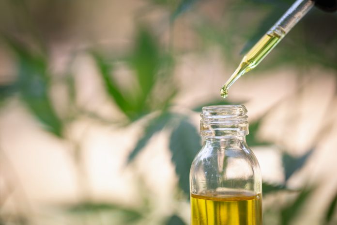 Hemp oil, Medical marijuana products including cannabis leaf, cbd and hash oil, alternative medicine