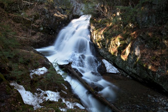 cascade-creek-environment-fall-395711