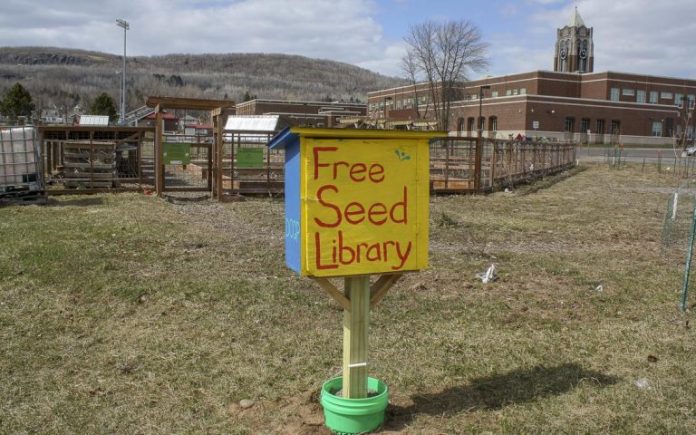 seed-library-768x480