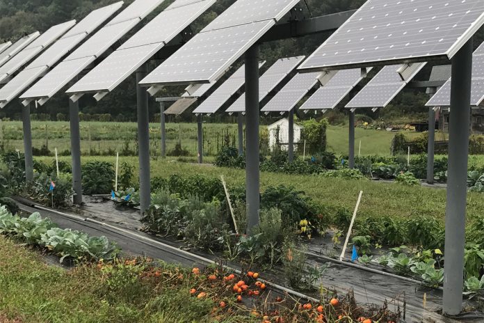 190122-masachusetts-solar-farm-dual-use-solar-tomato-top2