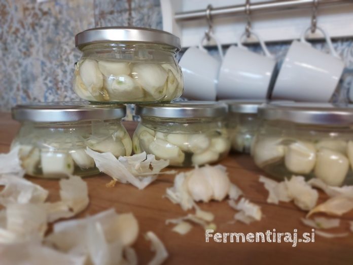 4-FERMENTIRANJE-CESNA