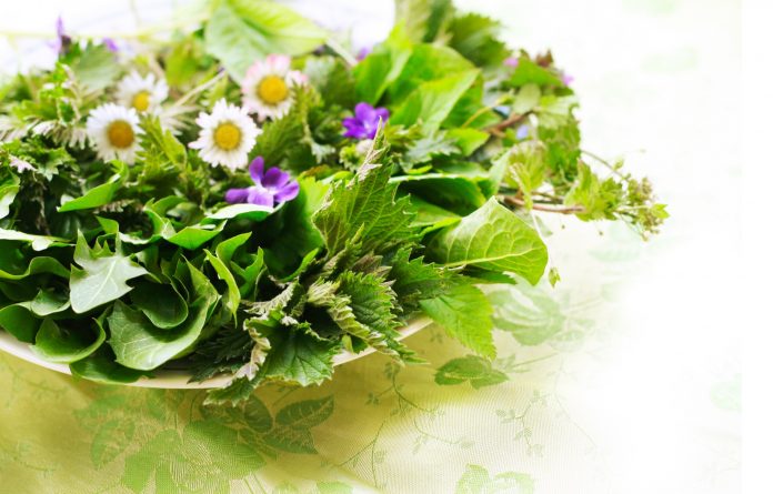 Essbare Kräuter und Blüten im Frühling, Frühjahrskur mit frischem Salat aus Wildkräutern, Brennnessel, Löwenzahn, Giersch, Taubnessel, Gänseblümchen, Veilchen, superfood, veganes Heilfasten, fasten