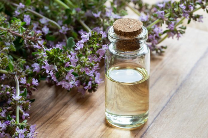 A bottle of thymus serpyllum (creeping thyme) essential oil