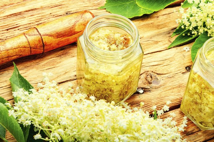 Elderberry in alternative herbal medicine