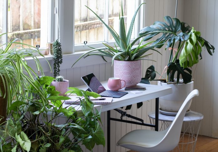Home interior office space table and chair with laptop computer and potted indoor plants