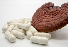 Medicinske gobe upravičeno postajajo trend številka ena med prehranskimi dopolnili