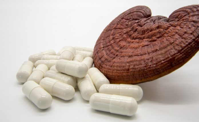 Lingzhi Mushroom