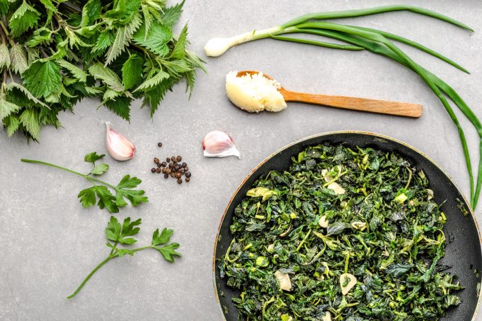 Cooking green food. Healthy, dieting, vegetarian pesto with green nettle and fresh stinging nettles, leaves fried with garlic and spices on frying pan.