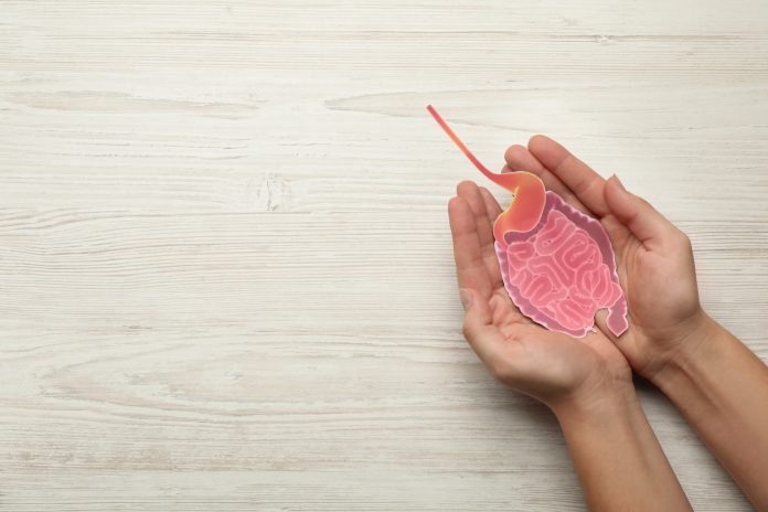 Woman holding paper cutout of small intestine on white wooden background, top view. Space for text