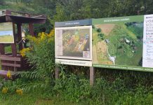 Ddr. Ana Vovk: Kmetovanje na naraven način si lahko privošči vsak