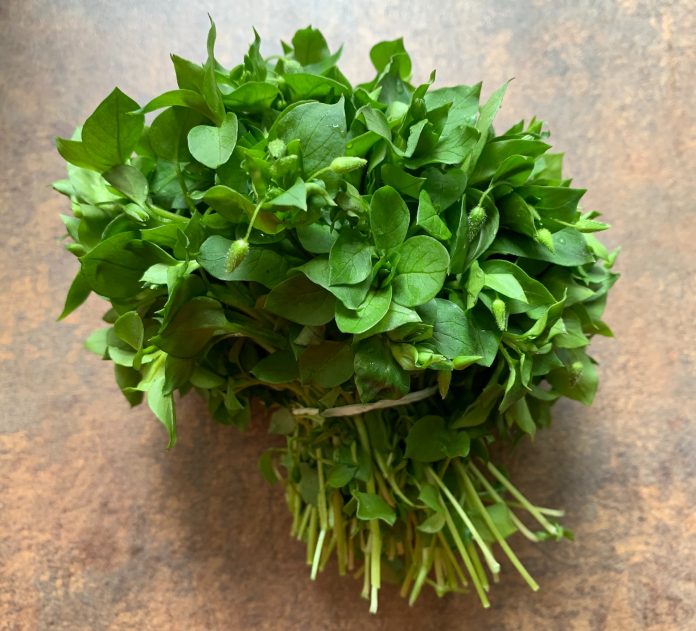 madish-radish-_cWQPrYdYQw-unsplash
