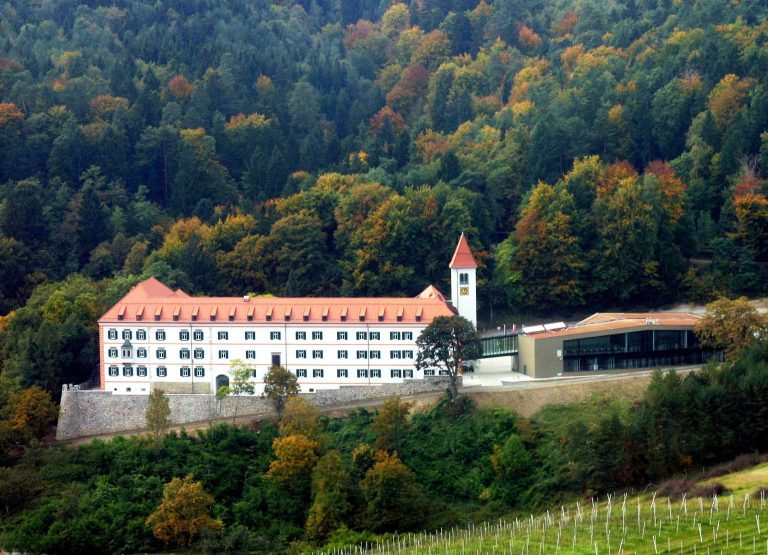Človek, čustva in bolezni