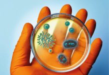 MRSA – davek na »razvoj«?