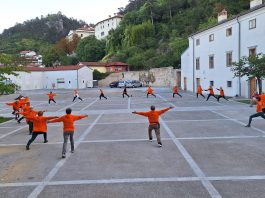 S Šolo zdravja telovadimo preko spleta