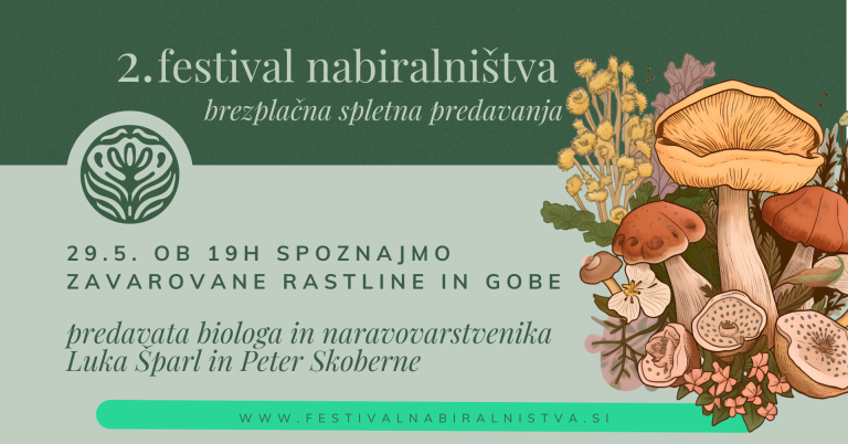 Spletno predavanje ob 2. Festivalu nabiralništva