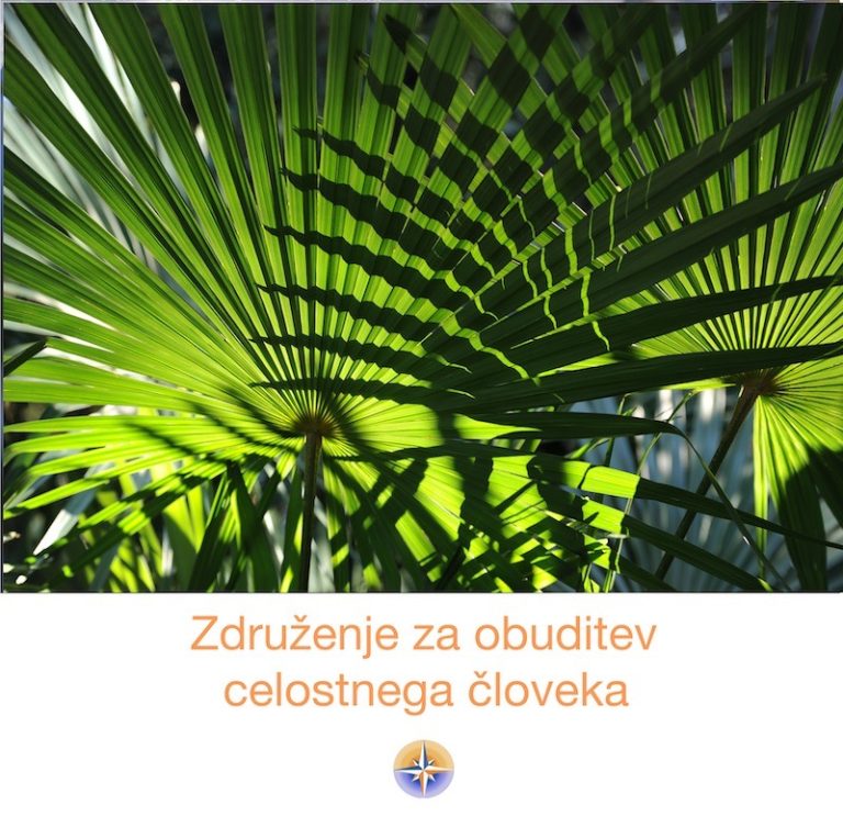 Jetra zahtevajo komunikacijo s stvarstvom