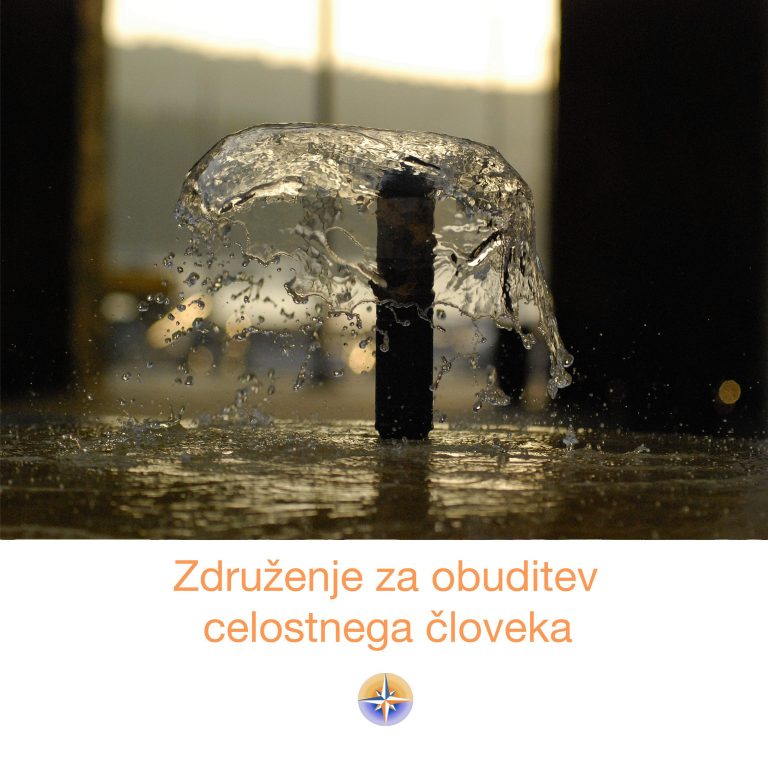 Ledvice zahtevajo komunikacijo s Stvarstvom