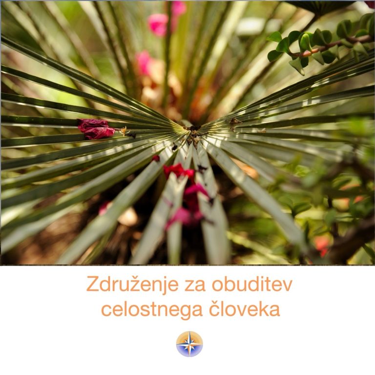 Fiziologija energij