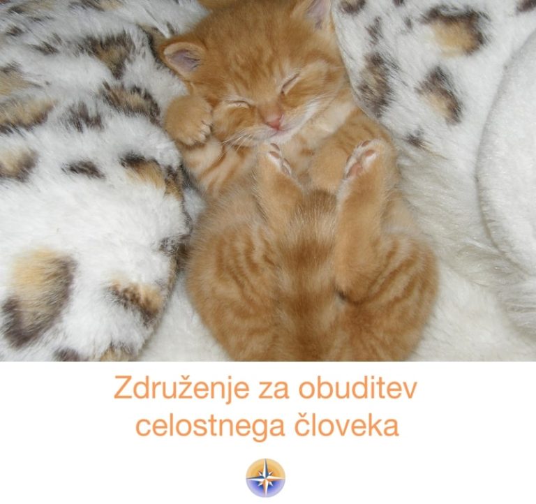 Kako naravno obvladati težave s spanjem?