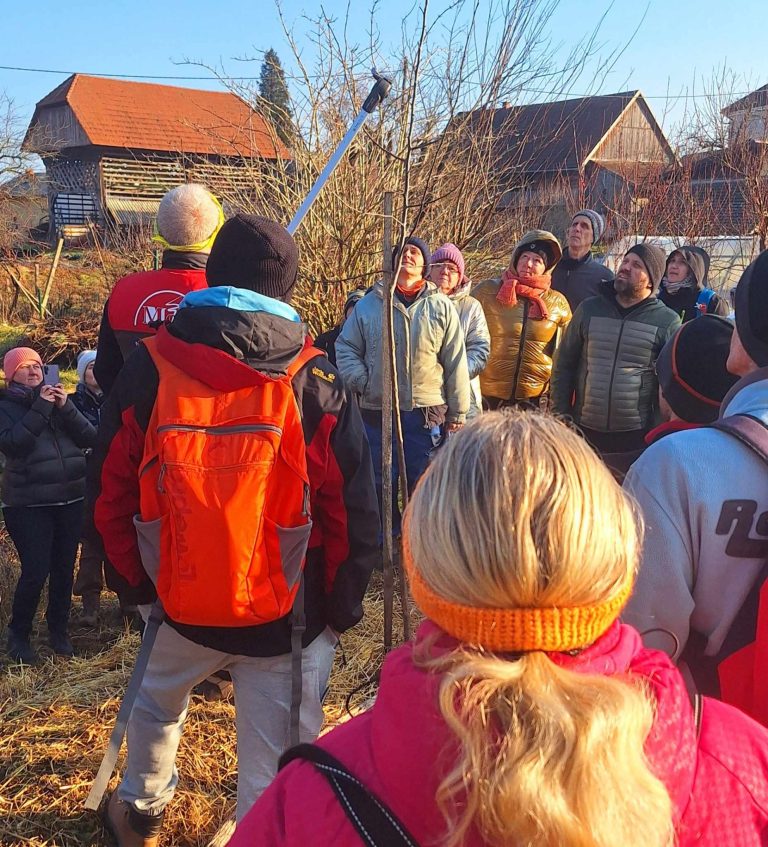 Sadjarstvo brez kemije – zimska rez