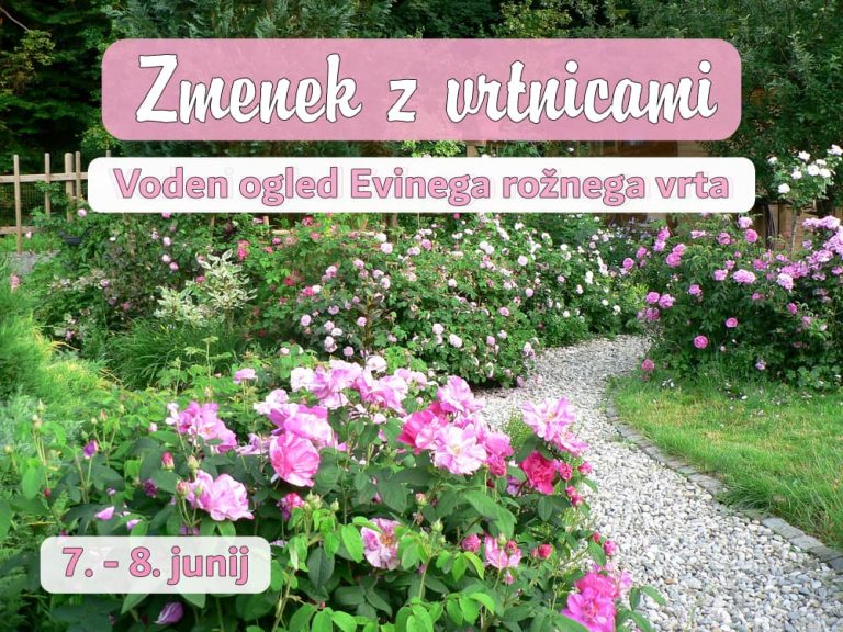 Voden ogled Evinega rožnega vrta: ZMENEK Z VRTNICAMI