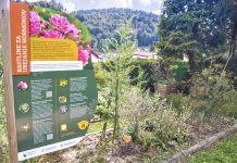 Učni zeliščni vrt – živa učilnica naravnih rešitev za zdravje