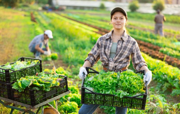 AdobeStock_1697085605 Large