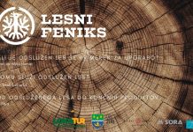 Lesni feniks – projekt krožnega gospodarstva s pomenom za lokalno skupnost