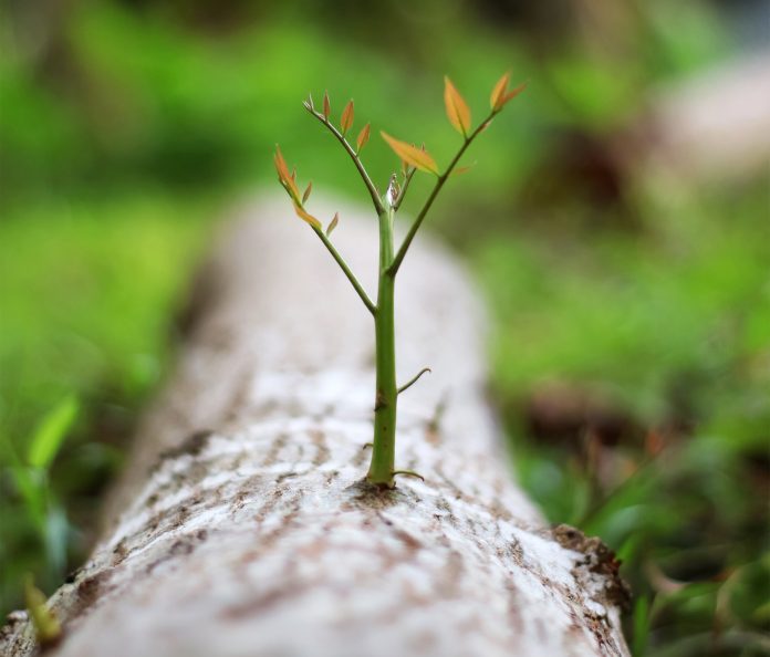 AdobeStock_300586232_crop
