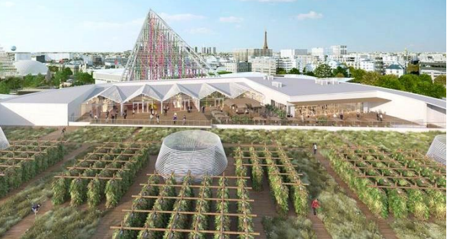 roof-top-farm-paris
